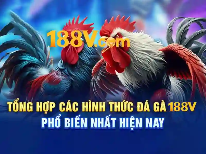 Ưu thế và sức cạnh tranh