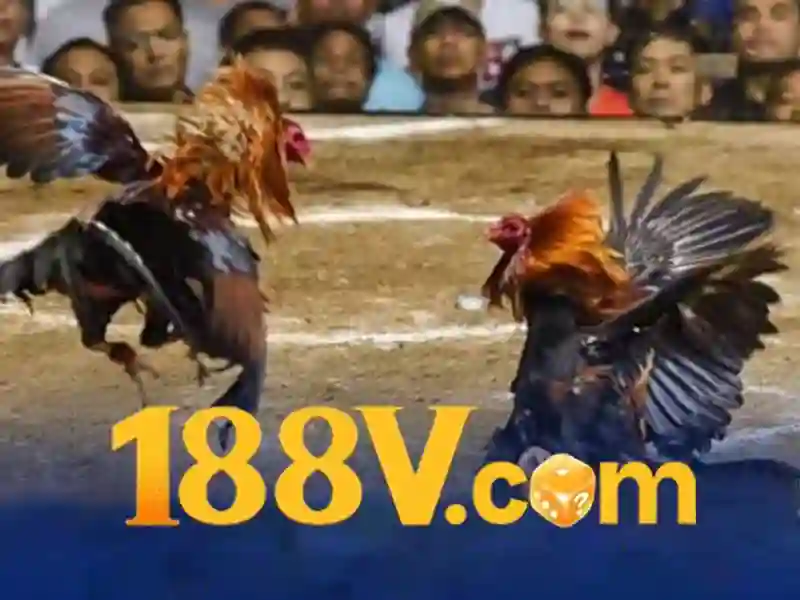 188v có hợp pháp không – Nguồn gốc và sứ mệnh