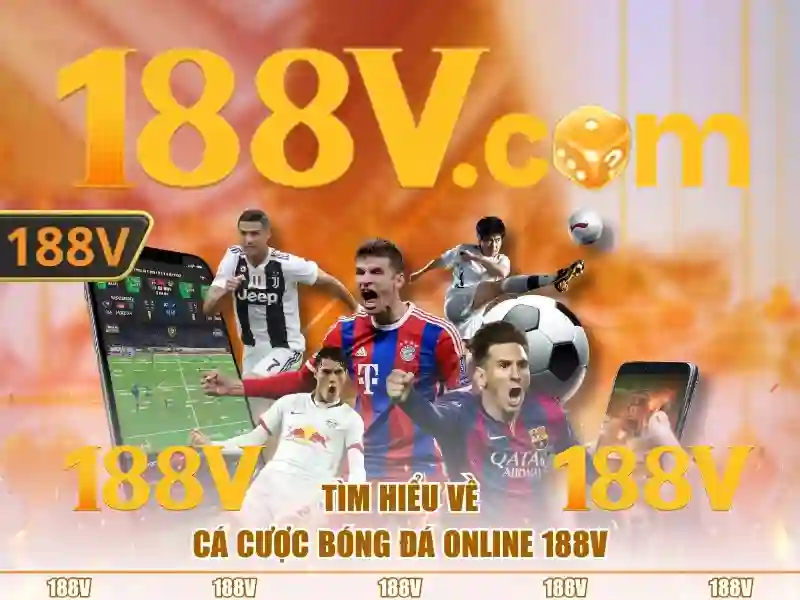 Trải nghiệm người dùng và phản hồi từ cộng đồng