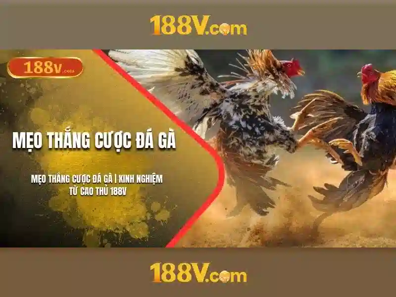 An toàn khi làm việc với điện áp cao