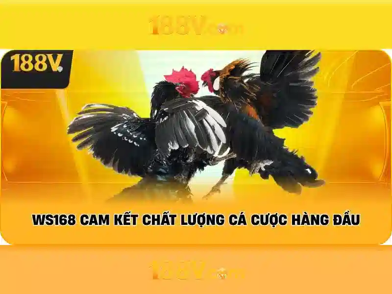 Kết luận về 188V