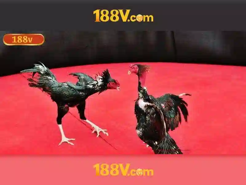 Việt Vị Trong Bóng Đá