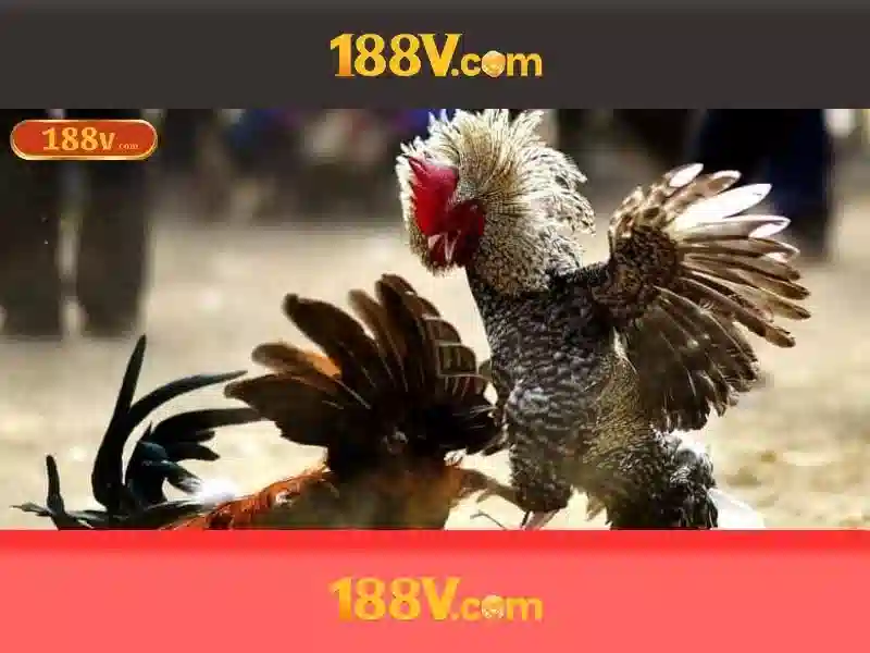 tại app 188v – nguồn gốc và sứ mệnh