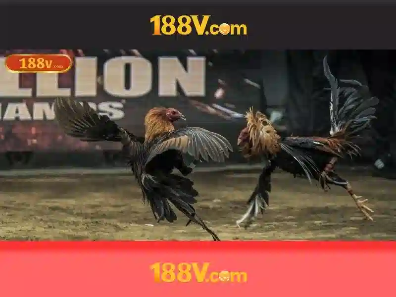 Điều gì là 188v?