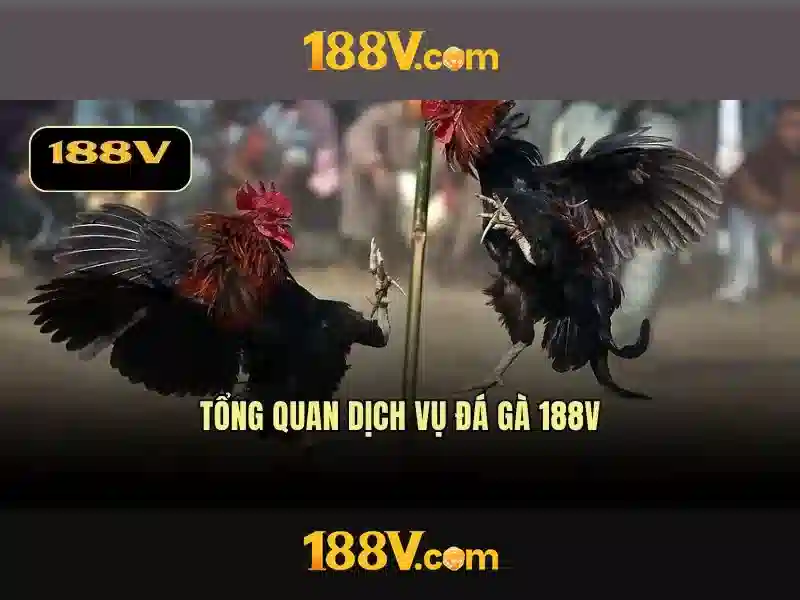 Tương lai của 188v và thách thức