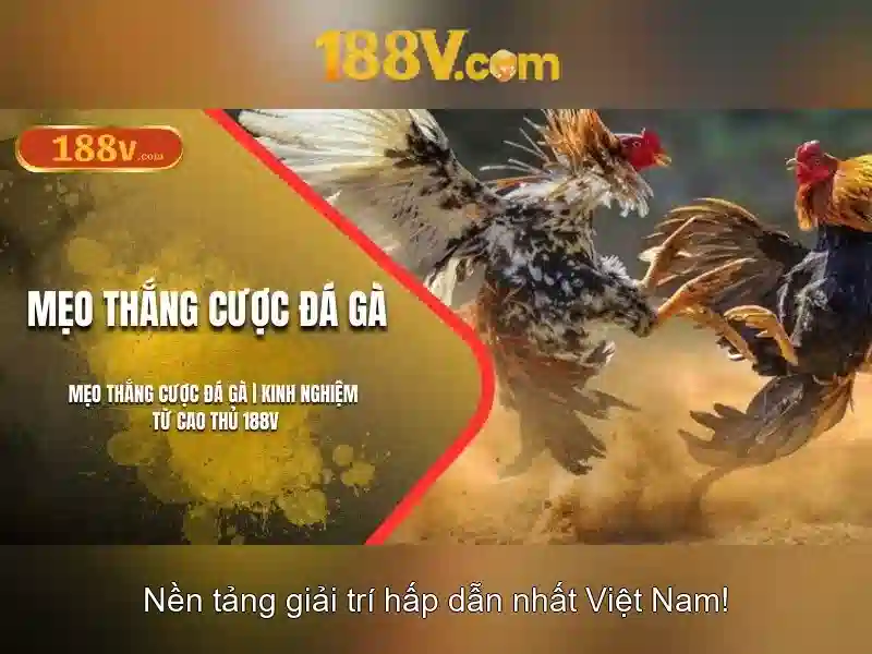 So sánh 188v với các tham số liên quan