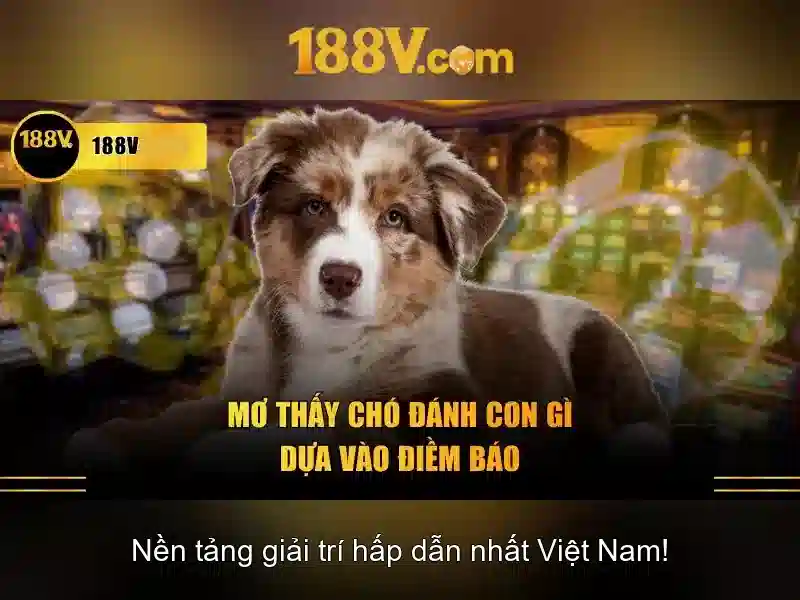 Ứng dụng của 188v trong thực tiễn