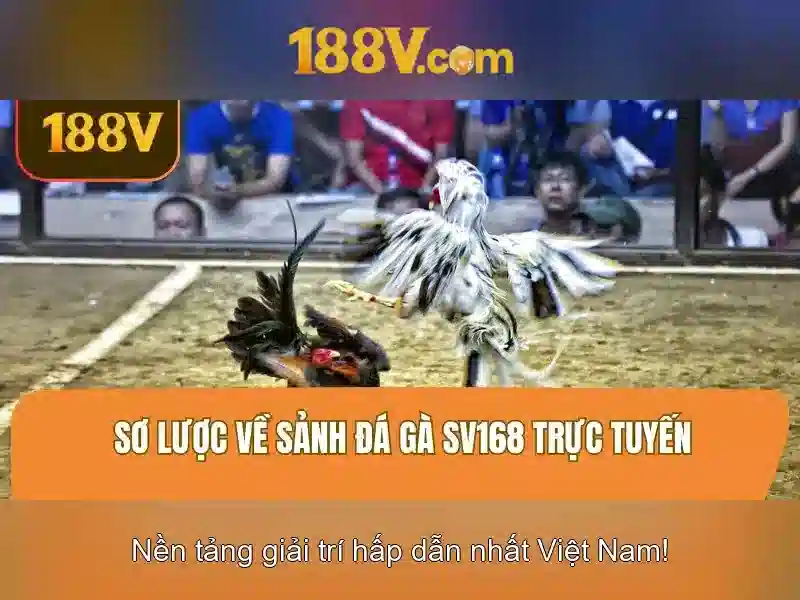 Bull Bull trực tuyến