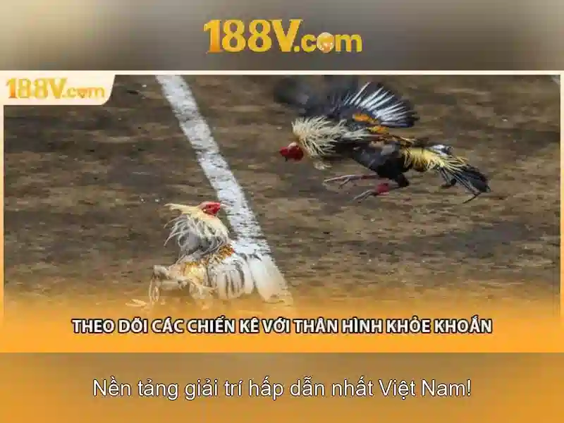 Việt Vị Trong Bóng Đá
