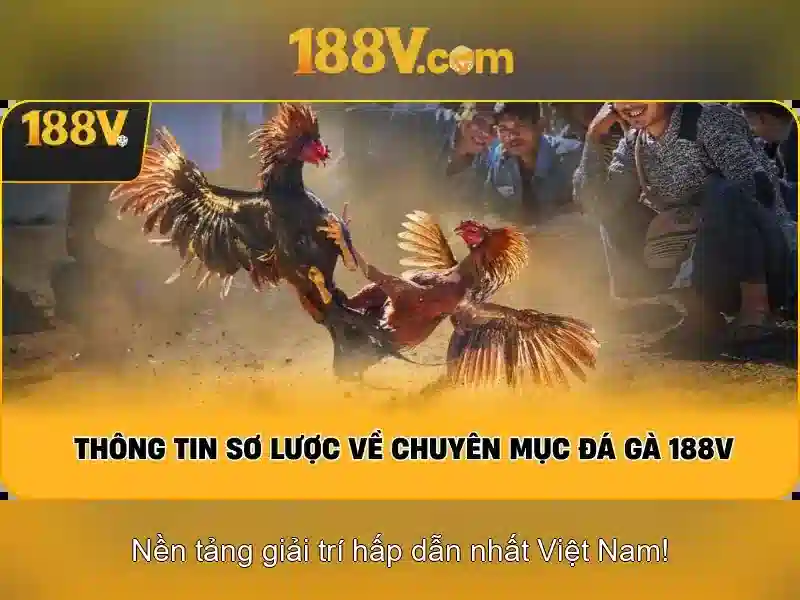 Bull Bull trực tuyến