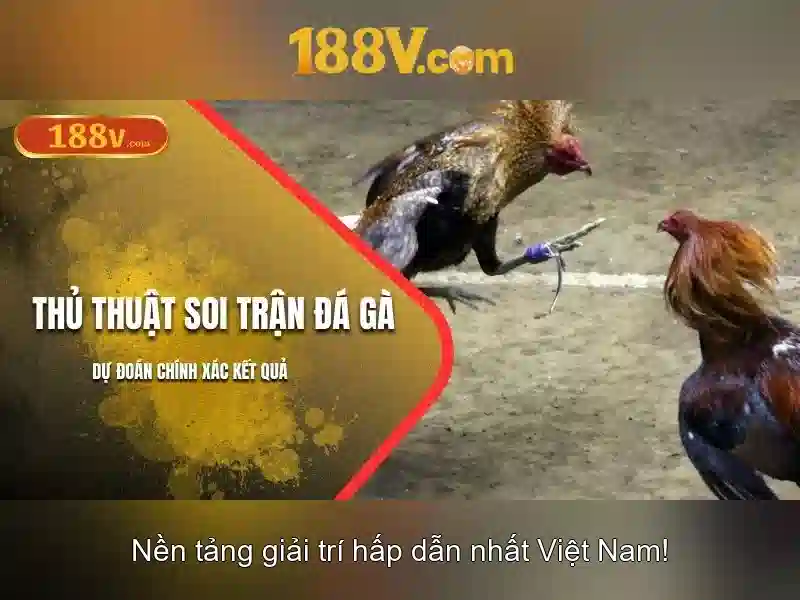 Ảnh hưởng và cách đọc