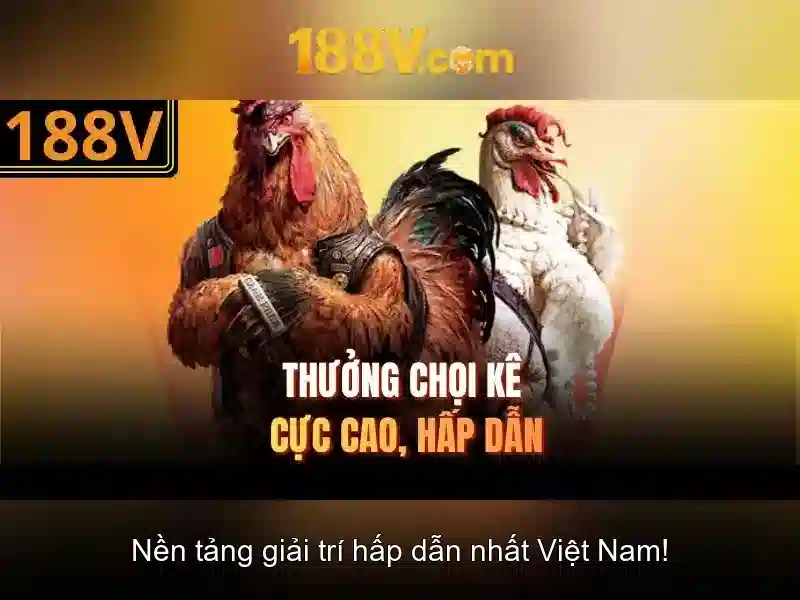 Ý nghĩa của 188v trong dữ liệu