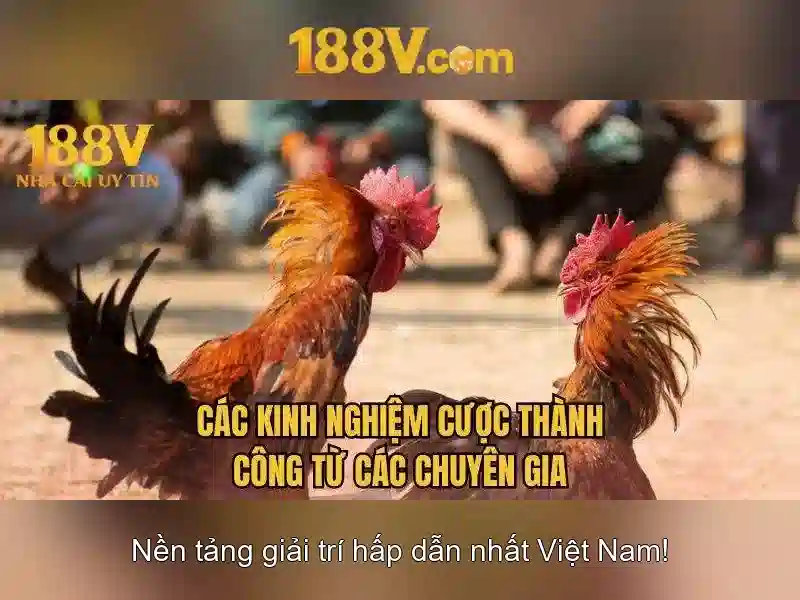 'Ứng dụng và đặc tính của 188V'<h3 class=