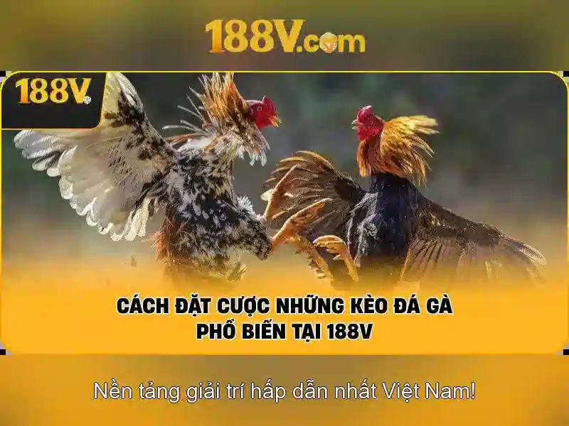 188V: định nghĩa và nguồn gốc