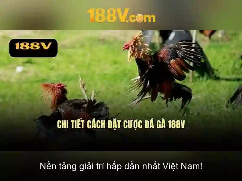 Việt Vị Trong Bóng Đá