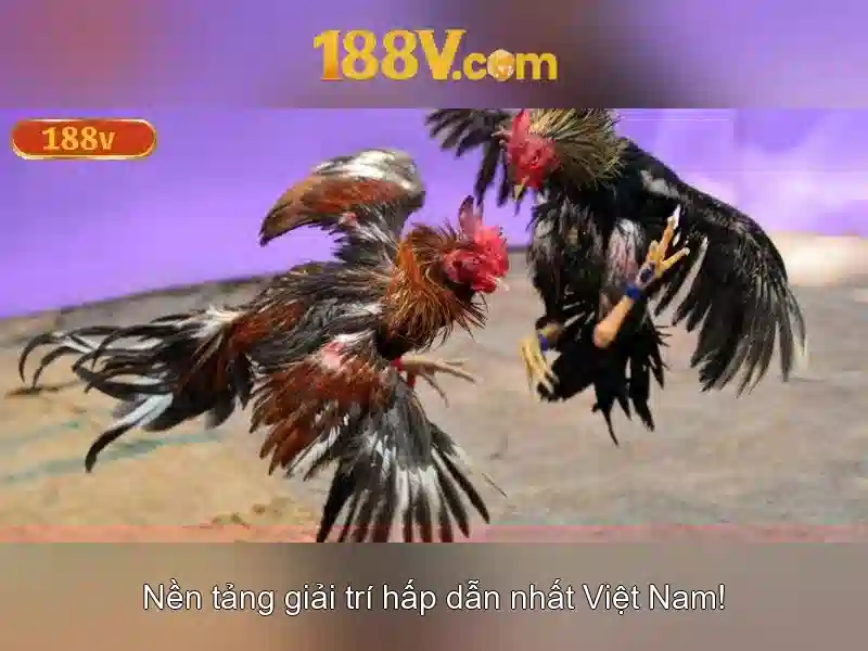 188v là gì?
