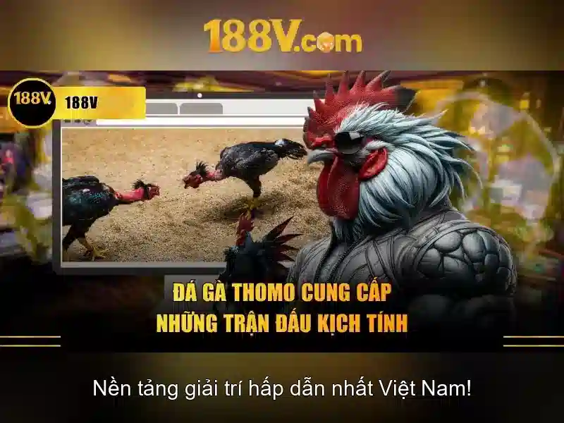 Giới thiệu ngắn gọn về 188V